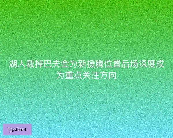 湖人裁掉巴夫金为新援腾位置后场深度成为重点关注方向