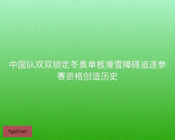 中国队双双锁定冬奥单板滑雪障碍追逐参赛资格创造历史