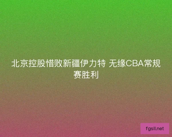 北京控股惜败新疆伊力特 无缘CBA常规赛胜利