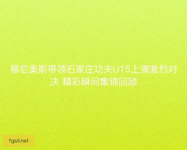 穆尼奥斯带领石家庄功夫U15上演激烈对决 精彩瞬间集锦回顾